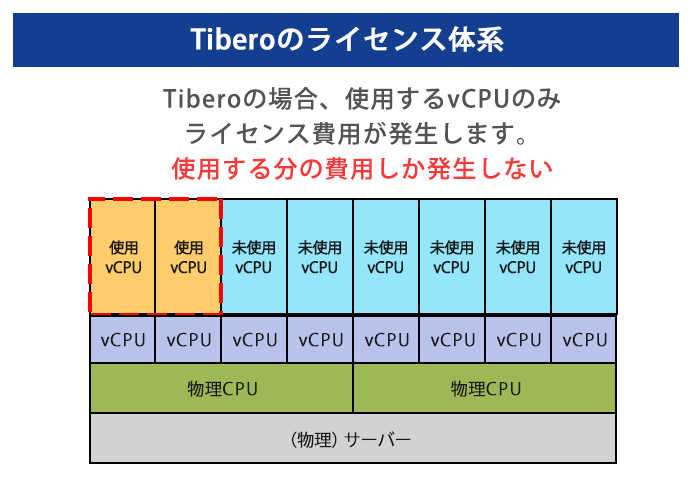 Tiberoのライセンス体系